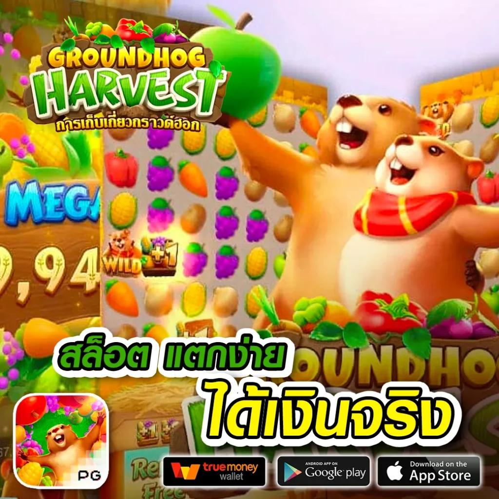 vip168sa เว็บตรง สล็อต ฝากถอนออโต้ ไม่ผ่านเอเย่นต์ 2026